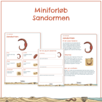 Forsiden til miniforløbet om sandormen med forløbets elevsider bagved