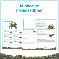 Forsiden til miniforløbet om strandkrabben med forløbets elevsider bagved