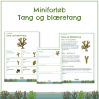 Forsiden til miniforløbet om tang og blæretang med forløbets elevsider bagved